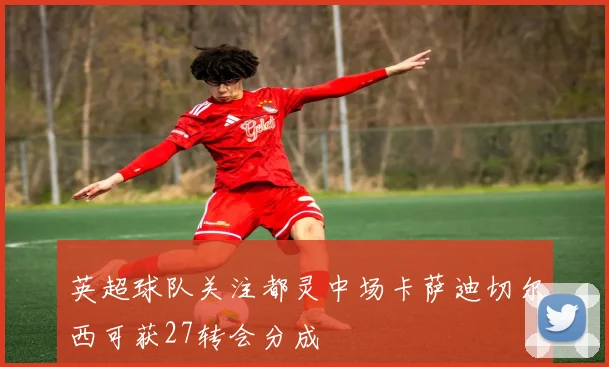 英超球队关注都灵中场卡萨迪切尔西可获27转会分成
